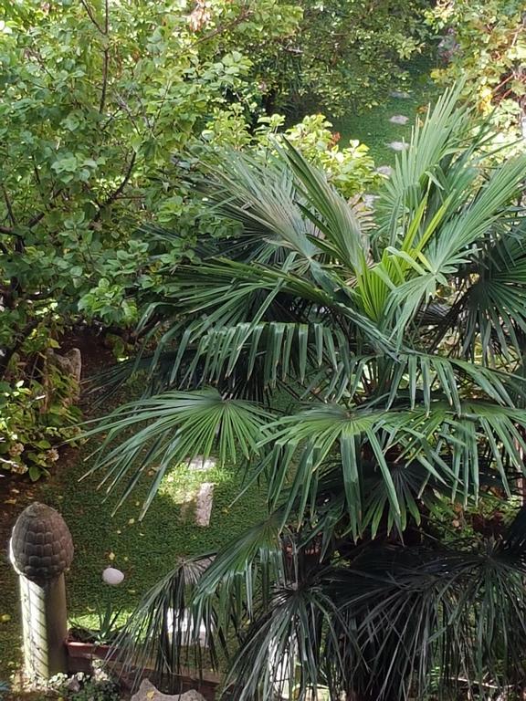 Appartamento Garden Ca' Rezzonico Венеция Экстерьер фото